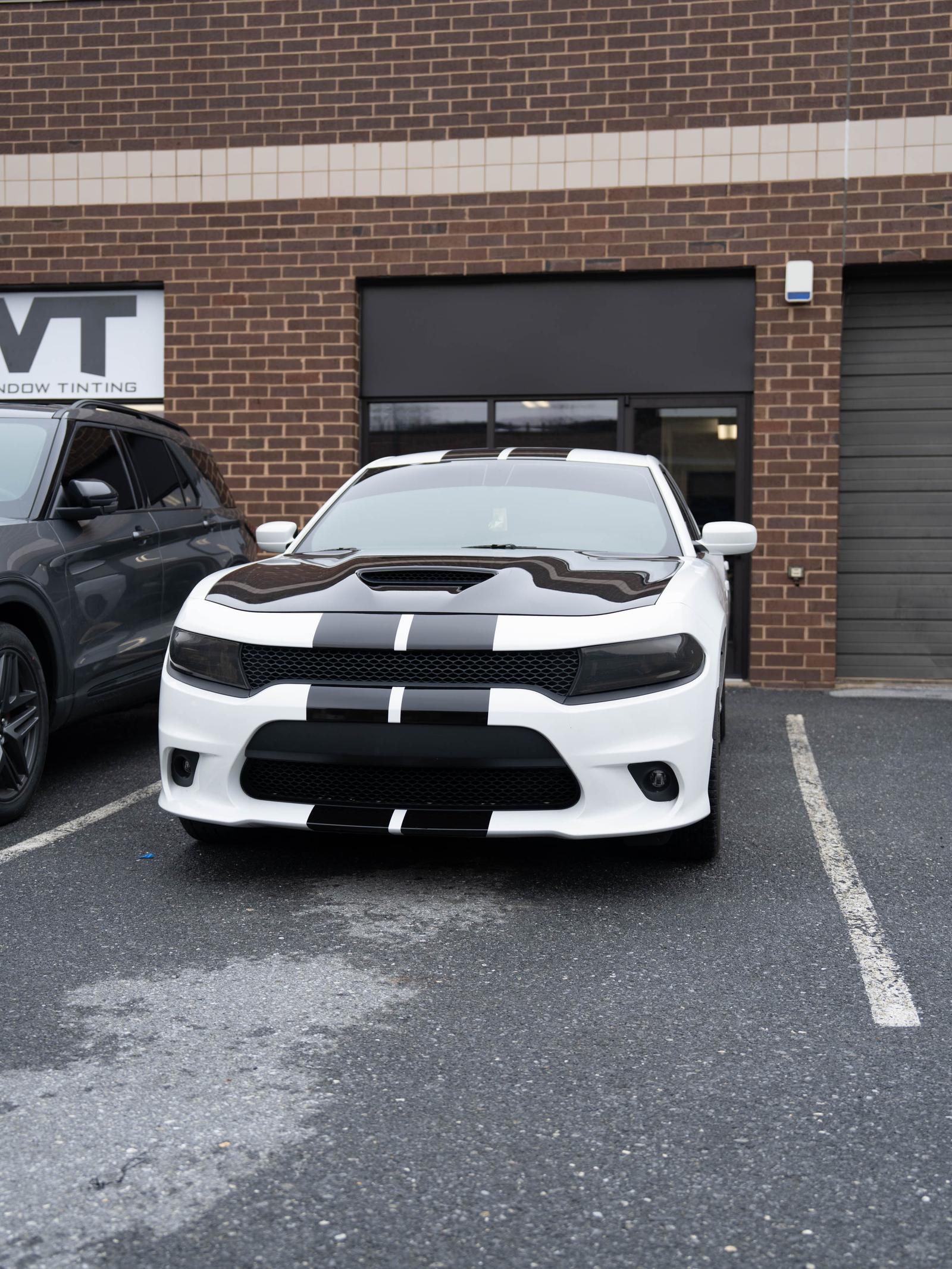 Racing Stripes